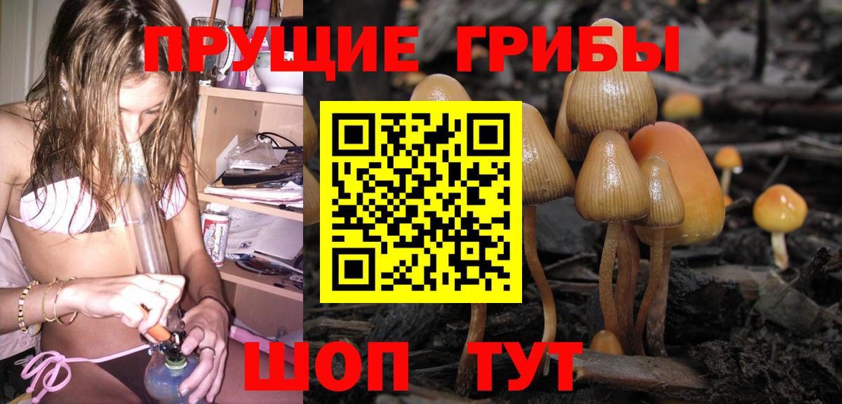 Кандалакша  Псилоцибиновые грибы Psilocybine cubensis  Вход с VPN 